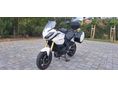 TRIUMPH TIGER 1050 ABS 2012/11 - 2