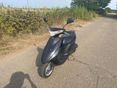 SUZUKI ADDRESS V50