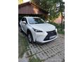 LEXUS NX 300h Executive Plus Safety CVT