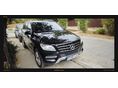 MERCEDES-BENZ ML 250 2013/1 - 3