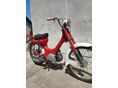 HONDA C 50 1969/1 - 2