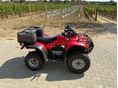 HONDA TRX 250 TM 