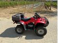 HONDA TRX 250 TM 2006 - 2