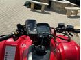 HONDA TRX 250 TM 2006 - 4