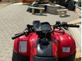 HONDA TRX 250 TM 2006 - 5
