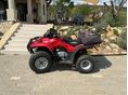 HONDA TRX 250 TM 2006 - 7