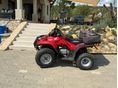 HONDA TRX 250 TM 2006 - 8