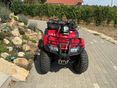HONDA TRX 250 TM 2006 - 9