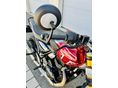 TRIUMPH SPEED 400 2024/8 - 6