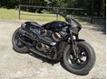 HARLEY-DAVIDSON SPORTSTER S 2023/12 - 2