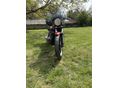 SUZUKI GS 500 E 
