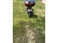 SUZUKI GS 500 E 1977/3 - 5