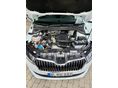 SKODA FABIA 2019/6 - 12
