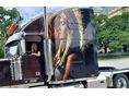 FREIGHTLINER 1999 - 18