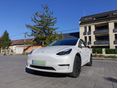 TESLA MODEL Y 2023/9 - 2