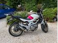 SUZUKI SFV 