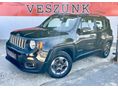 JEEP RENEGADE 2019/7 - 1