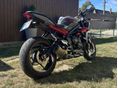 TRIUMPH STREET TRIPLE 675 R 2013 - 2