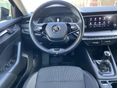 SKODA OCTAVIA 2021/3 - 10