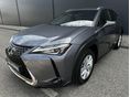 LEXUS UX 2022/8 - 5