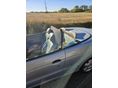 RENAULT MEGANE 1999 - 2