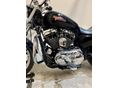 HARLEY-DAVIDSON SPORTSTER 1200 CUSTOM 2015/7 - 3