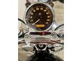 HARLEY-DAVIDSON SPORTSTER 1200 CUSTOM 2015/7 - 11