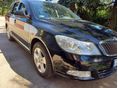 SKODA OCTAVIA 2009/7 - 3