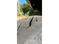 YAMAHA MT-07 2024/6 - 9