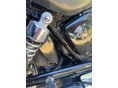 SUZUKI LS 650 SAVAGE 1987 - 6