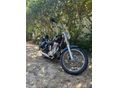 SUZUKI LS 650 SAVAGE 1987 - 9