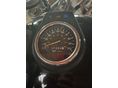 SUZUKI LS 650 SAVAGE 1987 - 2