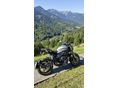 BENELLI 752 S 2025/3 - 7