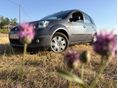 FORD FIESTA 2006/6 - 8