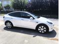 TESLA MODEL Y 2023/10 - 2