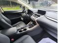 LEXUS NX 2019/9 - 9