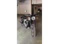 TRIUMPH BONNEVILLE 2022/12 - 7