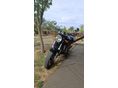 HONDA CB 600 F (HORNET) 2001 - 3