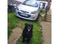 HYUNDAI IX20 1.4 DOHC Comfort
