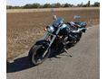 SUZUKI VZ 800 (INTRUDER) 2007/6 - 6