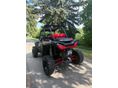 POLARIS RZR 2023/6 - 4