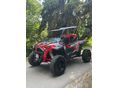 POLARIS RZR 