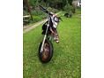 APRILIA SX 50 2010/10 - 5