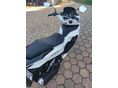 HONDA PCX 125 2022/11 - 2