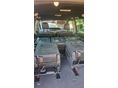 RENAULT GRAND ESPACE 2011/3 - 8