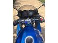 SUZUKI GSF 650 S 2006/5 - 4