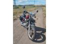 YAMAHA XV 1000 (VIRAGO) 1984 - 2