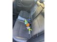 VOLKSWAGEN PASSAT V 2002 - 6