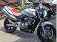 HONDA CB 600 F (HORNET) CB600F