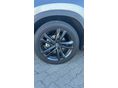 LEXUS NX 2023/6 - 7